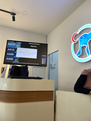 Klinik Veterinar Terbaik Berhampiran Anda di Jenjarum