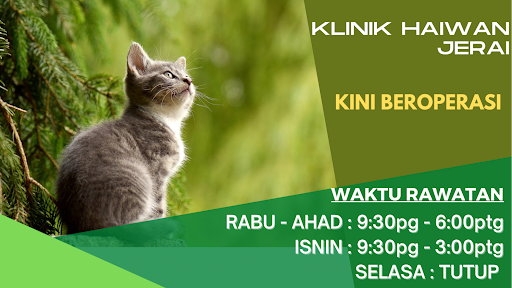 Klinik Veterinar Terbaik Berhampiran Saya di Gurun