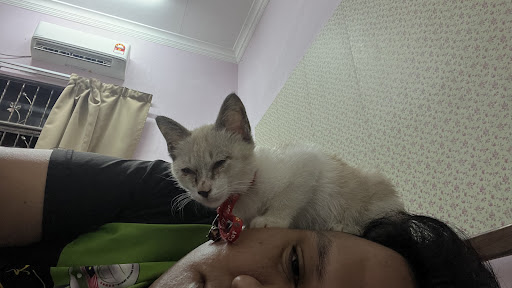 Klinik Veterinar Terbaik Berhampiran Saya di Kuala Besut
