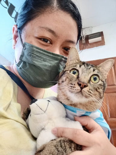 Klinik Veterinar Terbaik Berhampiran Saya di Marudi
