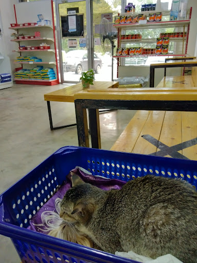 Klinik Veterinar Terbaik Berhampiran Saya di Mentekab