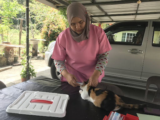 Klinik Veterinar Terbaik Berhampiran Saya di Papar
