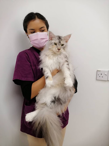 Klinik Veterinar Terbaik Berhampiran Saya di Petaling Jaya