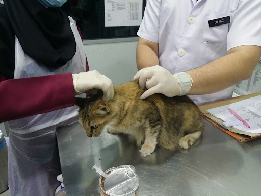 Klinik Veterinar Terbaik Berhampiran Saya di Sungai Udang