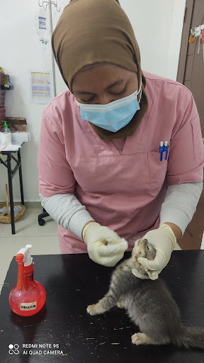 Veterinar Berhampiran Saya di Putrajaya: Pilihan Terbaik untuk Haiwan Kesayangan Anda