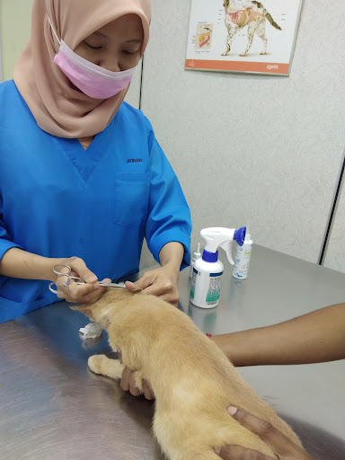 Veterinar Berhampiran Saya di Taiping: Pilihan Terbaik untuk Haiwan Kesayangan Anda