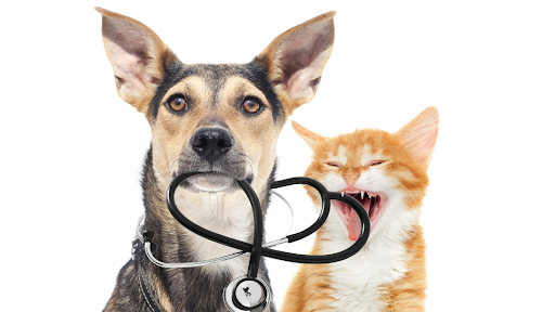 Angsana Veterinary Clinic