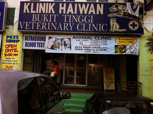 Bukit Tinggi Animal Clinic Sdn.Bhd 黄兽医