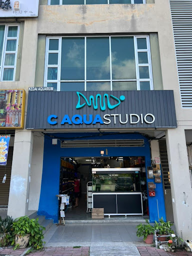 C Aqua Studio