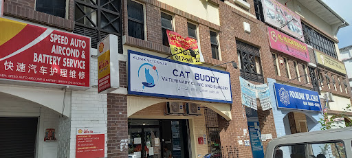 Cat Buddy Veterinary Clinic and Surgery