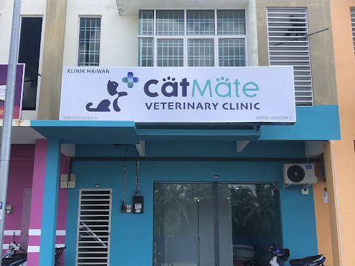CatMate Veterinary Clinic (appointment-based)
