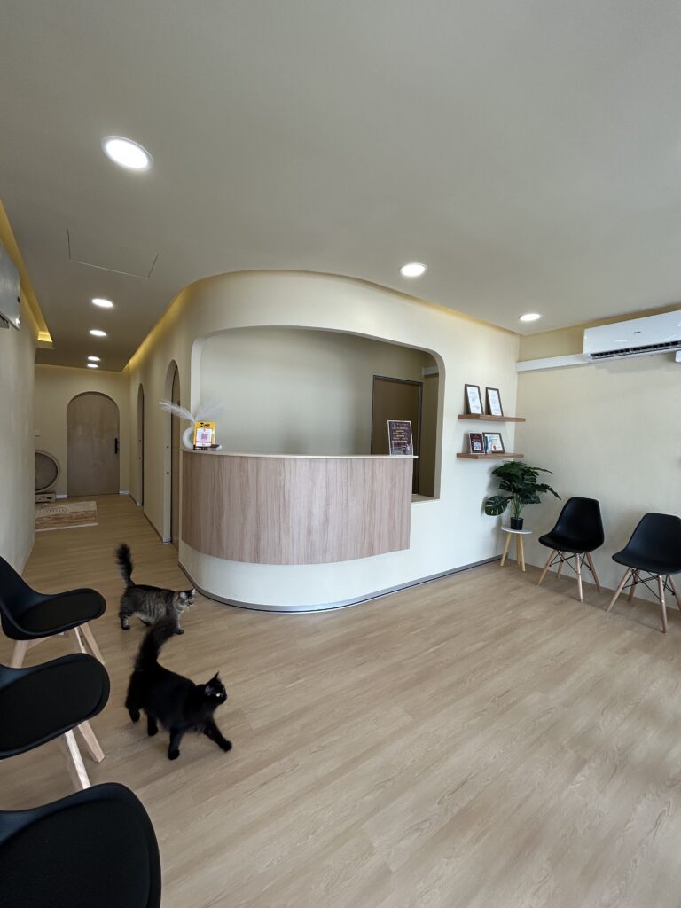 FELINIQUE ANIMAL CLINIC