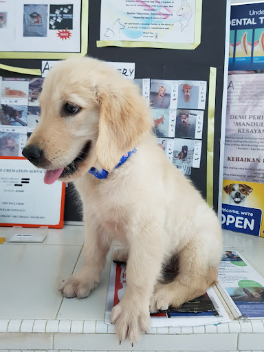 Gill's Veterinary Clinic