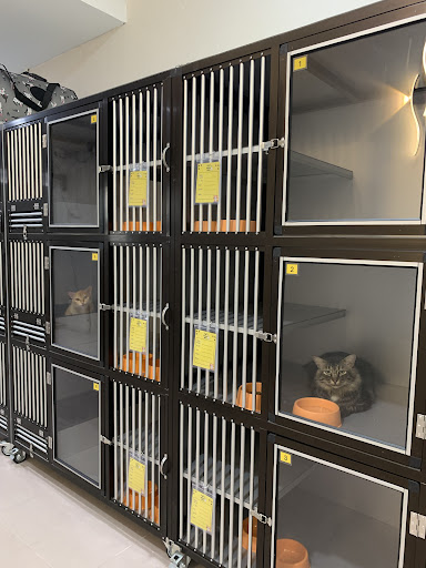 HM Medivet Animal Clinic (Klinik Haiwan HM Medivet / Medicat Hotel)