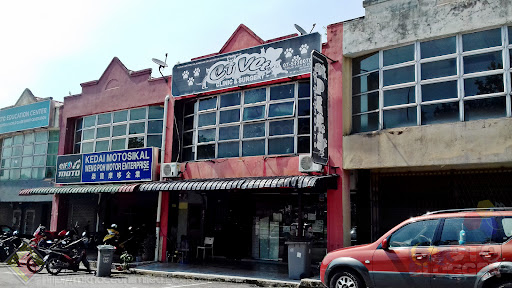 Klinik Haiwan CT VET
