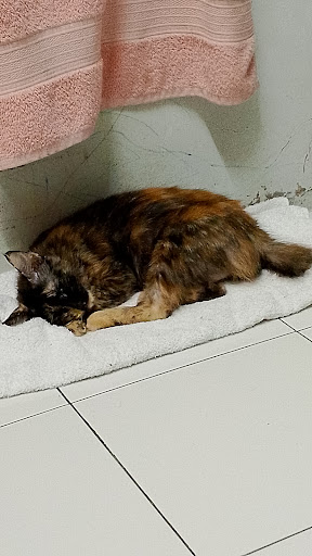 Klinik Haiwan Kamunting