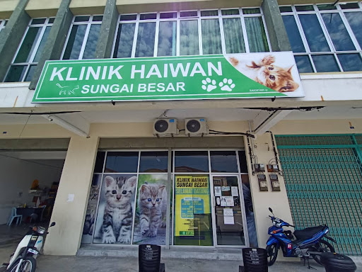 Klinik Haiwan Sungai Besar