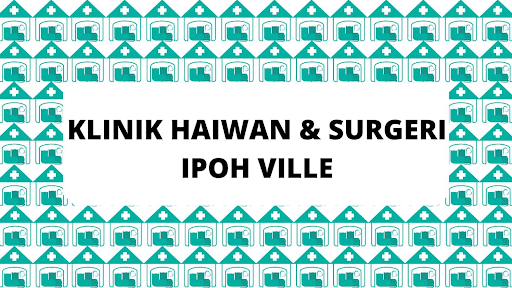 Klinik Haiwan Surgeri Ipoh Ville