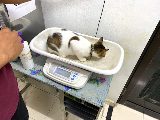 Kulaijaya District Veterinary Services Office