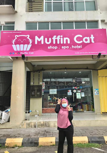 Muffin Cat | Cat Shop, Cat Grooming, Cat Hotel