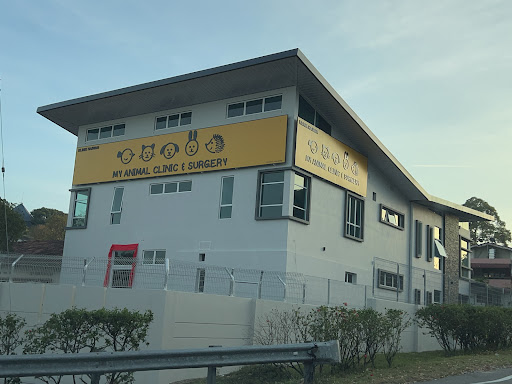 My Animal Clinic & Surgery
