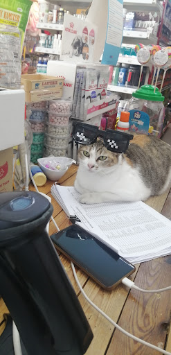 New Dreams Pets Enterprise