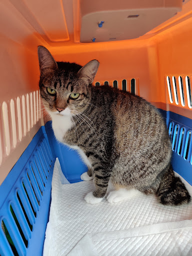 Noah's Ark Animal Clinic JB