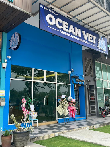 Ocean Vet - Animal Clinic