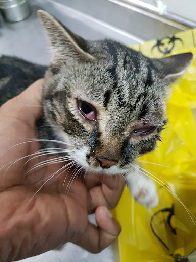 Pejabat Perkhidmatan Veterinar Daerah Larut, Matang dan Selama