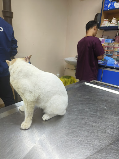 Pejabat Perkhidmatan Veterinar Daerah Seberang Perai Tengah