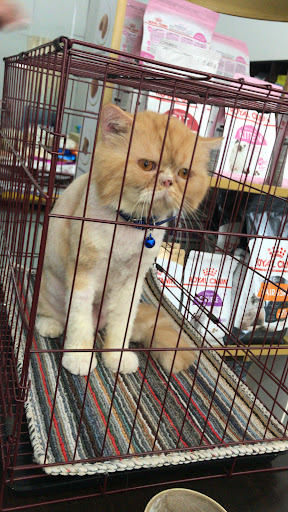 Pet Home Centre