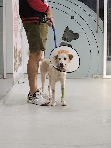 Pet Remedy Veterinary Clinic