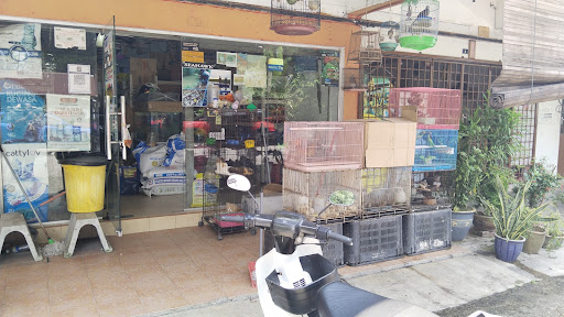 Tapah aquarium HAYATI NIAGA