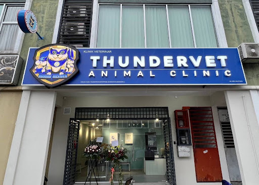 Thundervet Animal Clinic