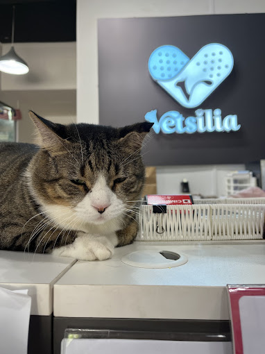 Vetsilia Veterinary Clinic, Nilai