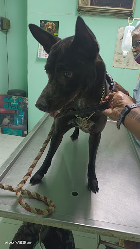 Wilayah Animal Clinic